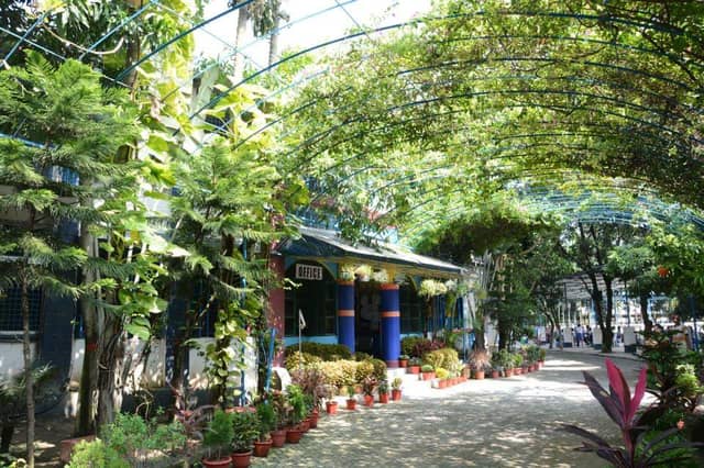 admissiontree